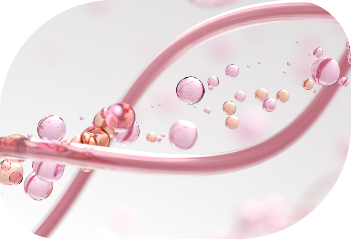 줄기세포 이미지