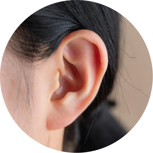 자가늑 추천 시술 5